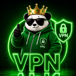 VPN